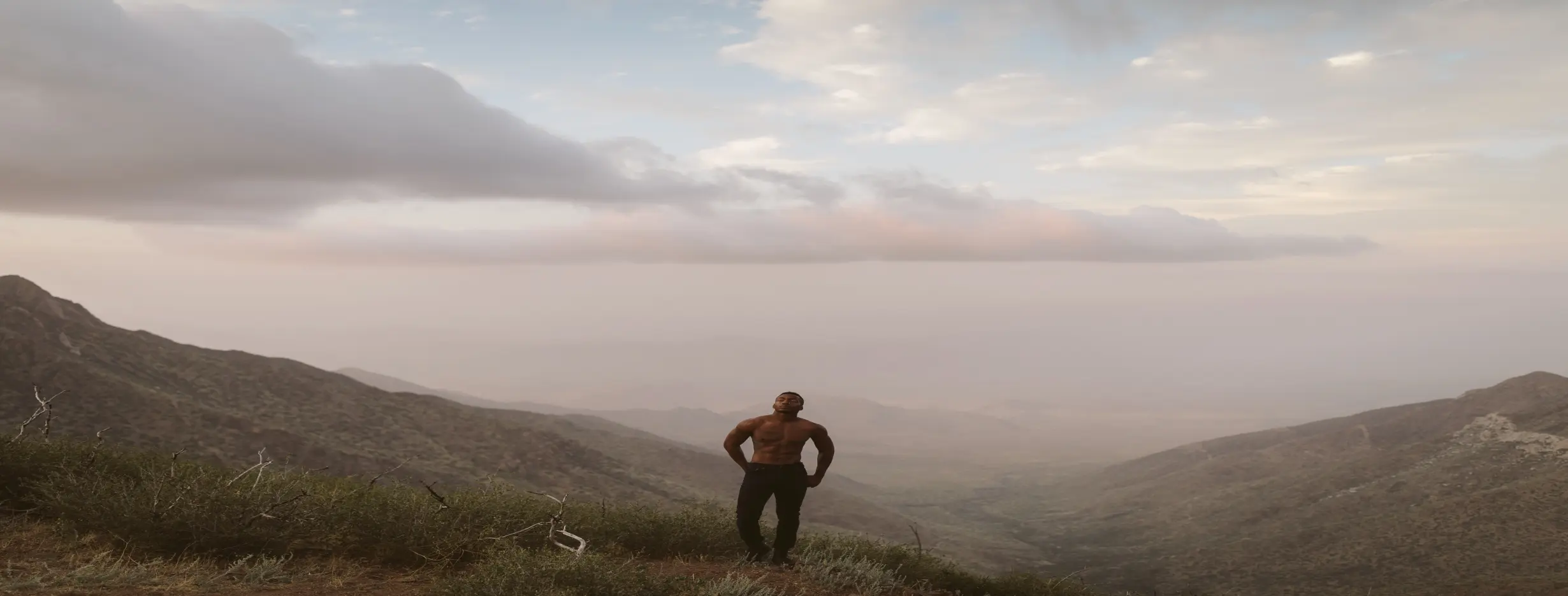 Image for Diverse Landscapes